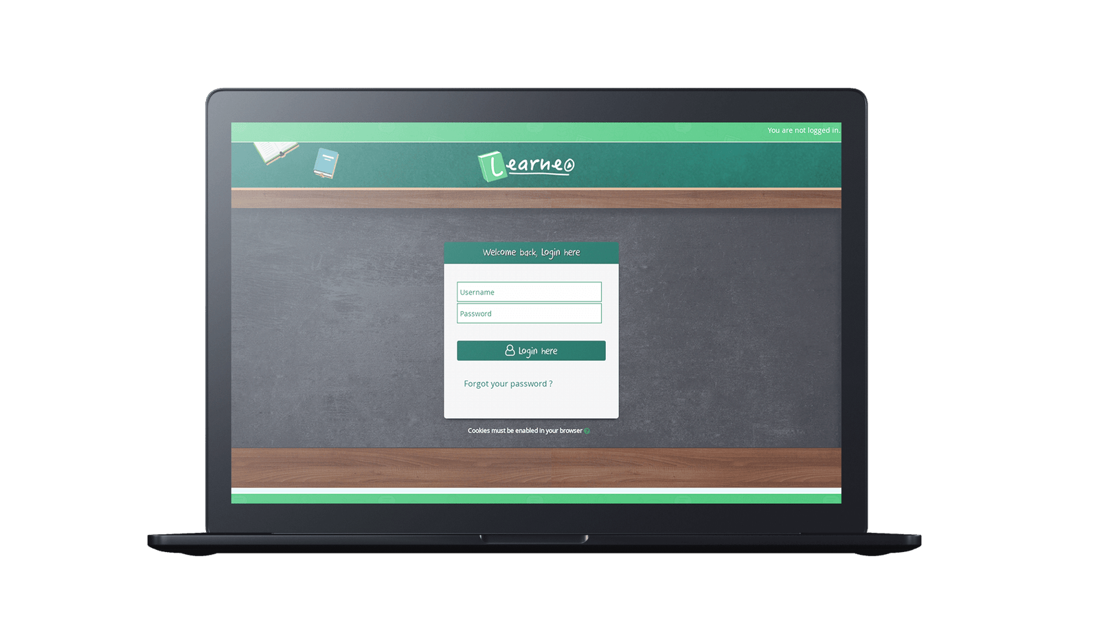Learneo